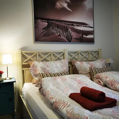 Charming In The Center Of Apartment *